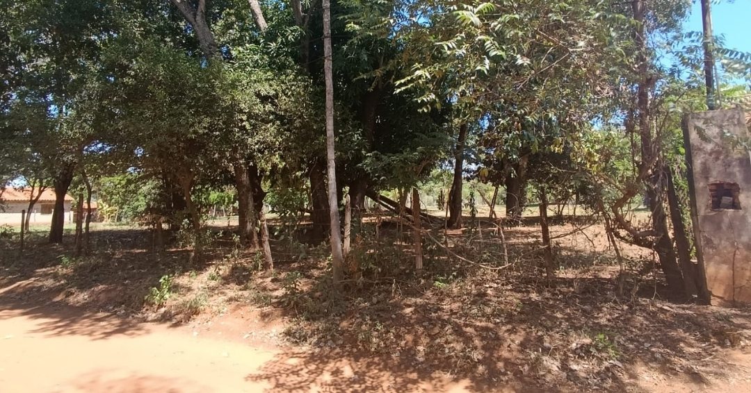 Oportunidad Única: Amplio Terreno en Venta en Cañada Garay - Luque