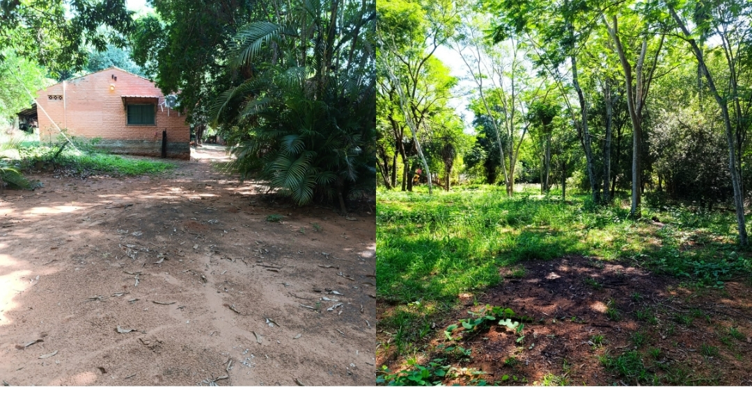 Venta de Terreno Amplio en Luque, Barrio ITA - ANGU´A