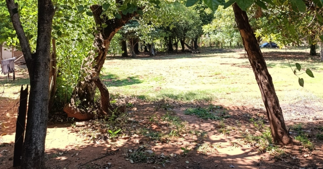 Oportunidad Única: Amplio Terreno en Venta en Cañada Garay - Luque