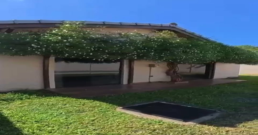 Encantadora Casa en Venta en Fernando de la Mora, zona Shopping Pinedo